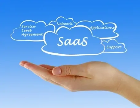 Cultural adaptation in global SaaS marketing example