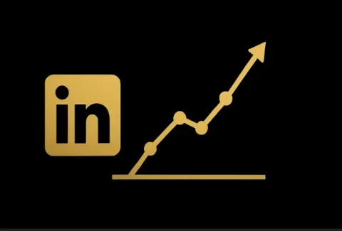 LinkedIn Ads Audience Size for SaaS Campaigns